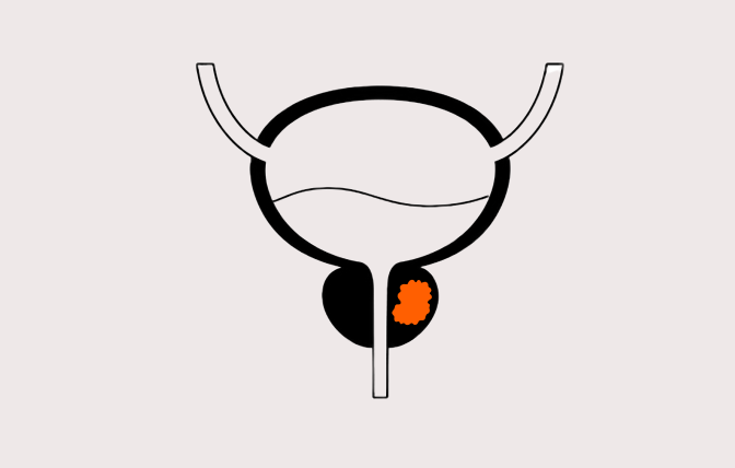 image - 2023-06-12T172519.130.png